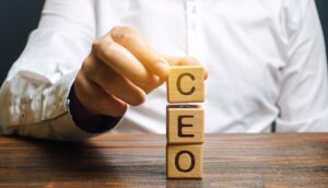 CEO auditeste blocos de mandeira